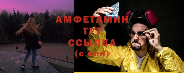мдпв Елизово