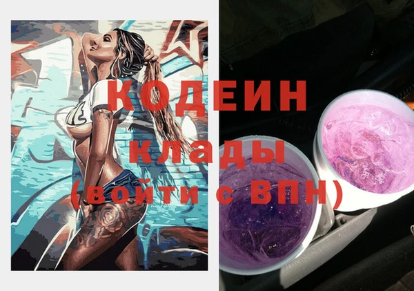 молекула духа Ельня