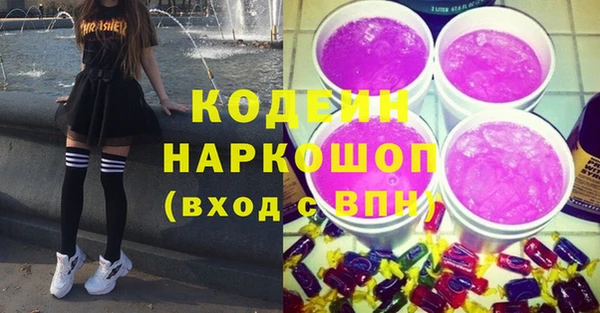 мдпв Елизово