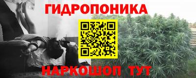 a pvp Балахна