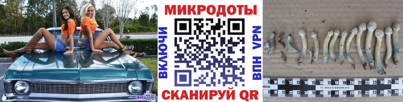 купить  сайты  Елизово  OMG   Псилоцибиновые грибы ЛСД 