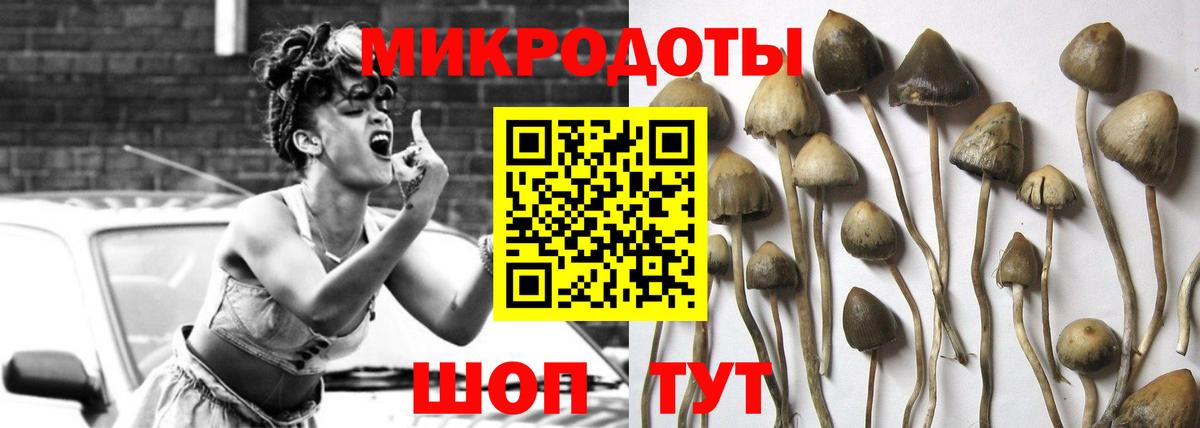 Псилоцибиновые грибы мухоморы  Вход с VPN  Елизово 