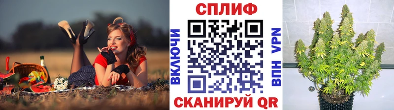 МАРИХУАНА сатива  как найти наркотики  Елизово 